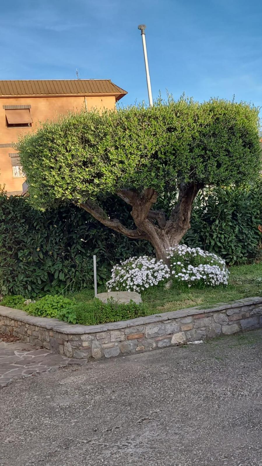 Casetta Delle Fiabe Rome Exterior photo